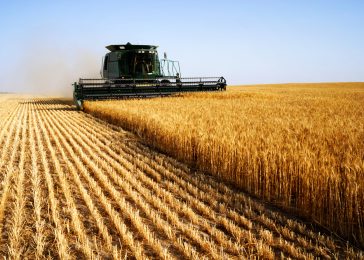 Hydraulics Agriculture Machine